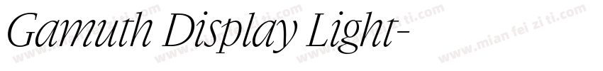 Gamuth Display Light字体转换